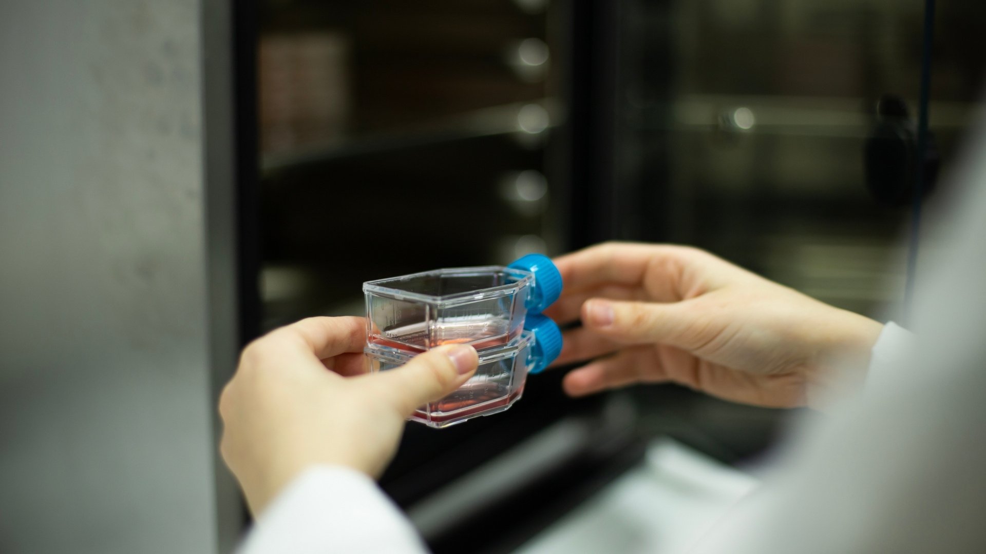 How Laboratory Incubators Work The Science Behind Precision
