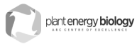 logo-plant-energy